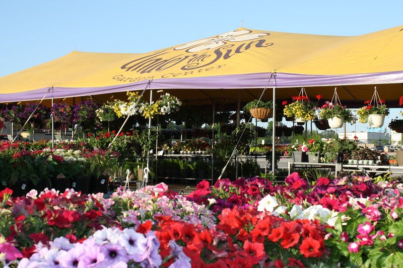 Under the Sun Garden Center, Oklahoma City