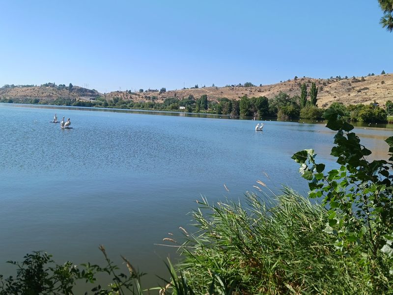 Upper Klamath Lake and Its Stunning Shoreline