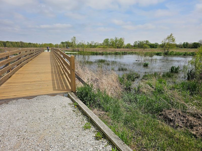 Veronica's Trail Makes It Welcoming for Everyone