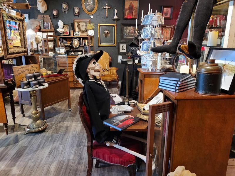 Victorian Oddities Worth Every Curious Glance