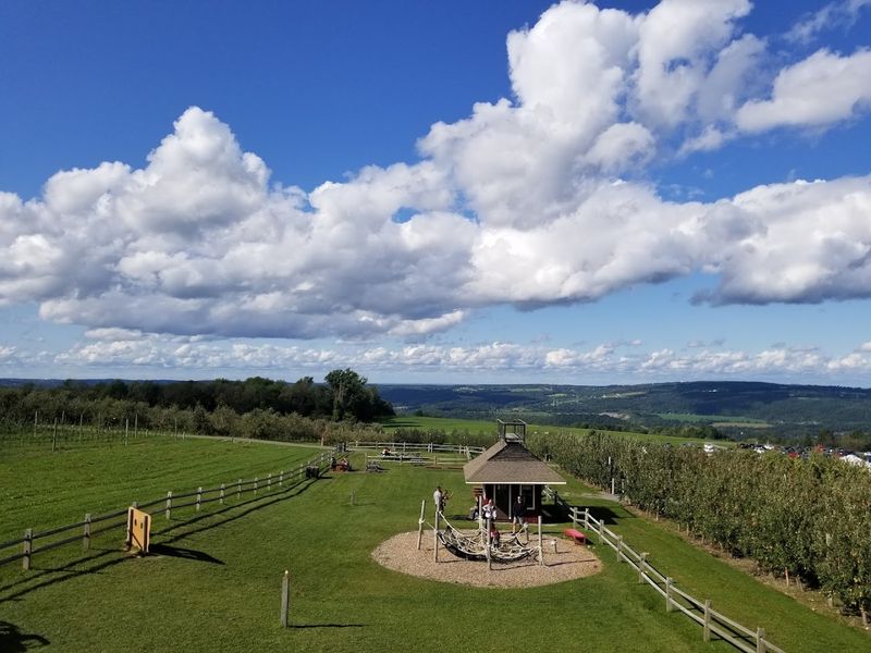 Views That Slow You Down