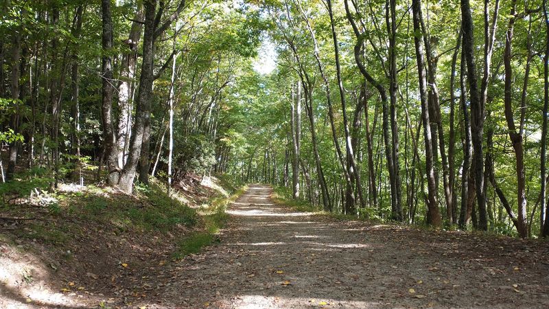 Virginia Creeper Trail: A Legendary Rail-Trail Ride