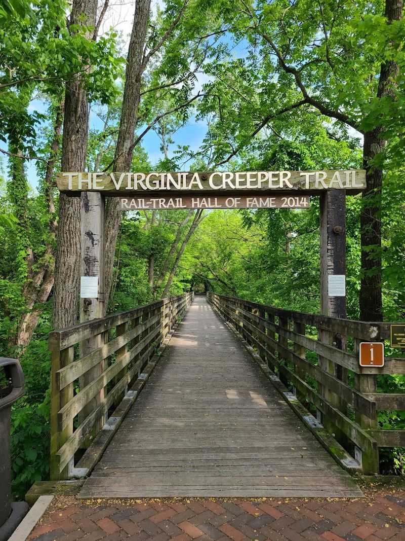 Virginia Creeper Trail and the Joy of Getting Outside