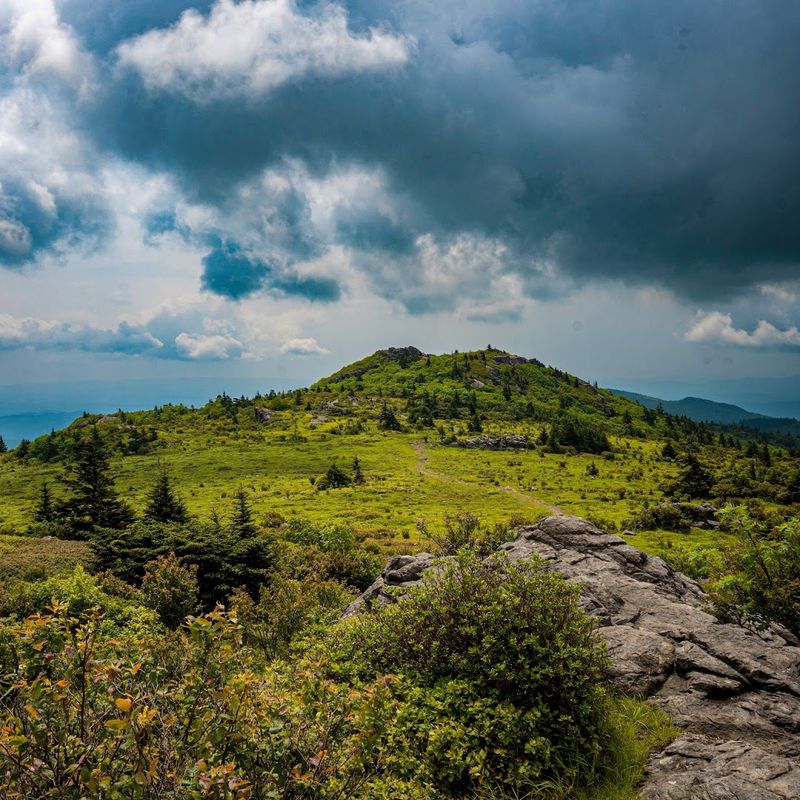 Virginia's Rooftop: The Summit of Mount Rogers