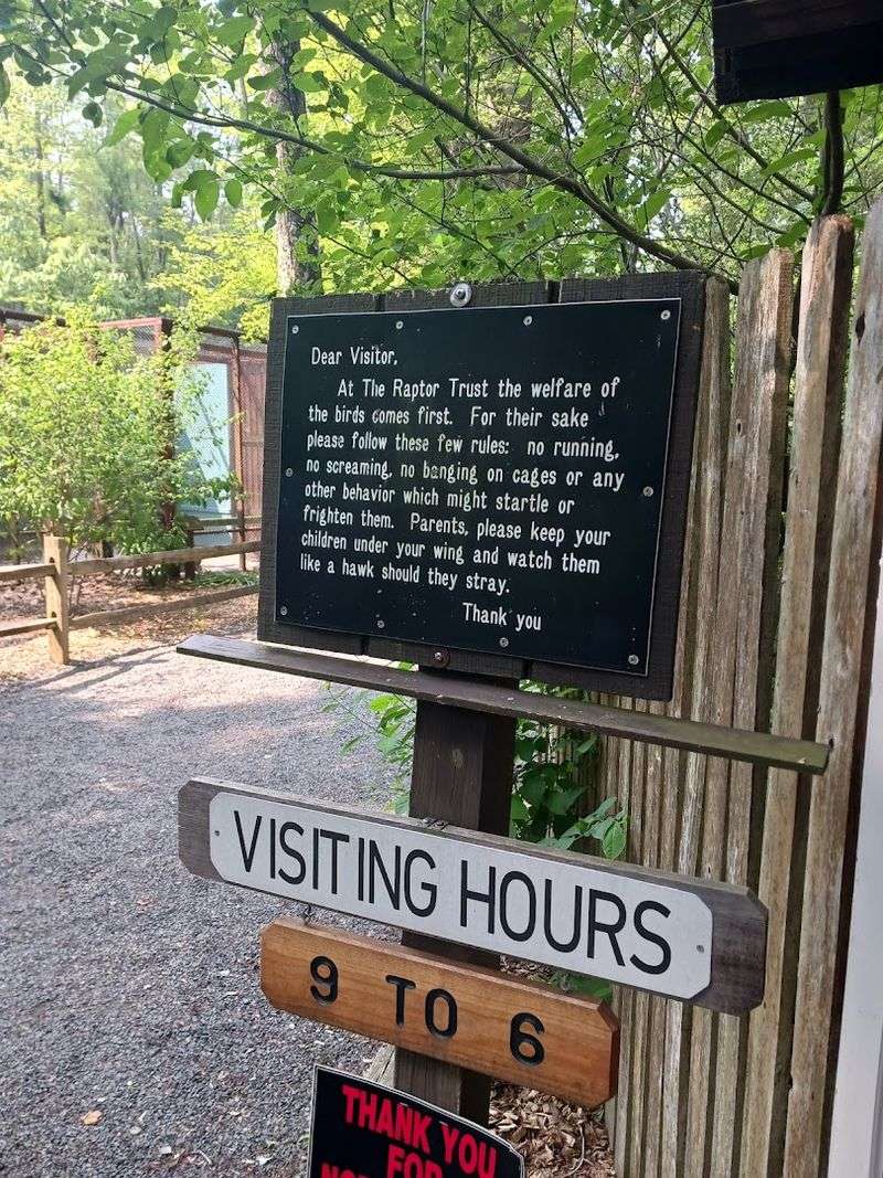 Visiting Hours and When to Plan Your Trip