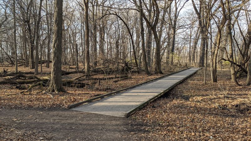 Visiting O'Hara Woods: What to Know Before You Go
