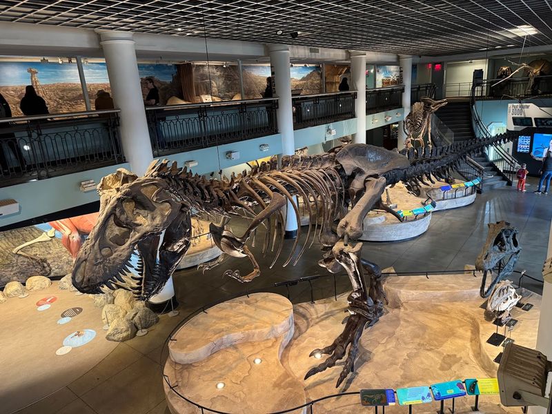 Visiting the Actual Bones at the Academy of Natural Sciences