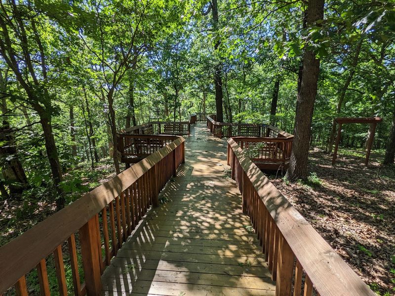 Walking Avian Avenue Among Eagles and Owls