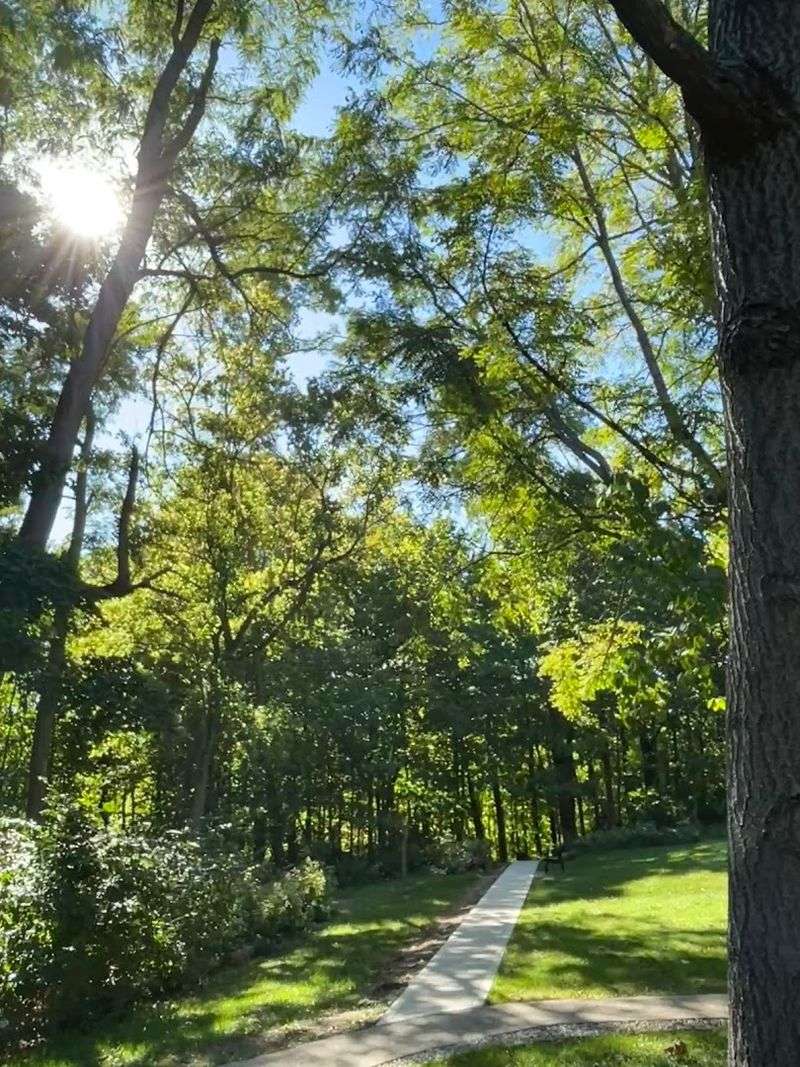 Walking Meditation and Reflection at Every Turn