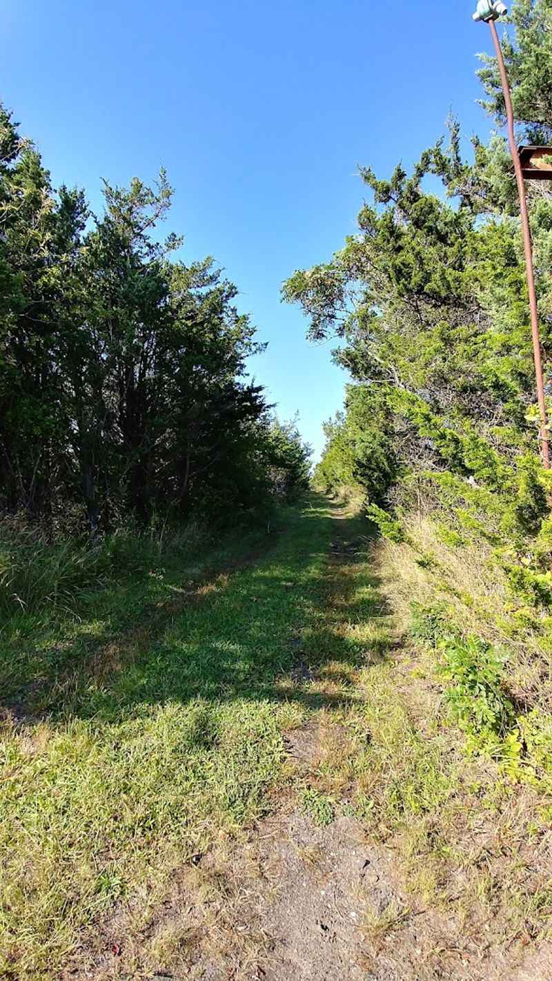 Walking Old Dune Trail: The Path to the Past