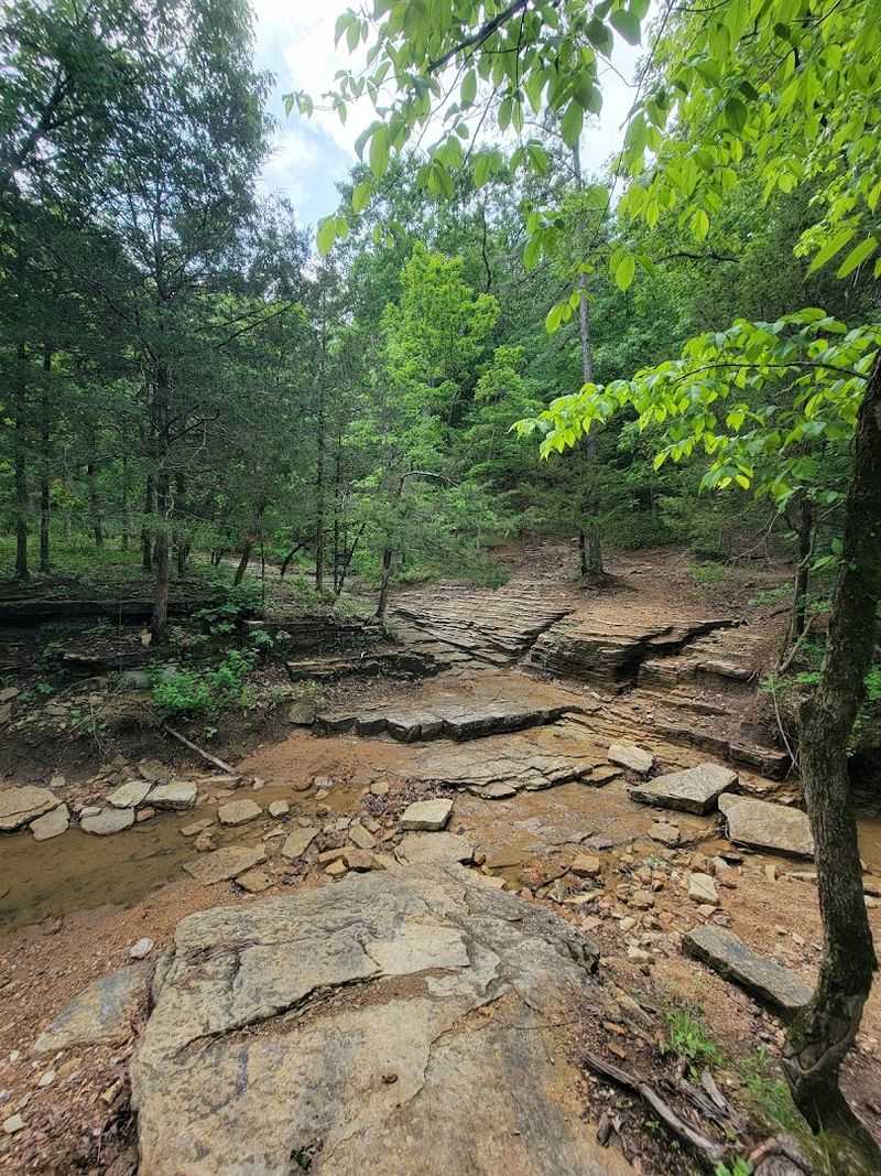 Walking The Trails Without Rushing Anything Walking The Trails Without Rushing Anything