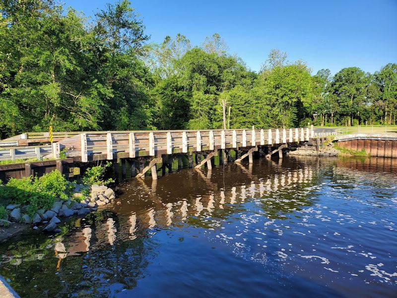 Walking Trails That Never Feel Pushy