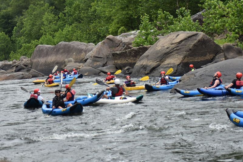 Water Adventures Below the Forest