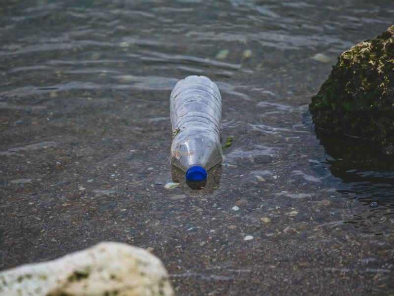 Water Quality Faces New Pressures