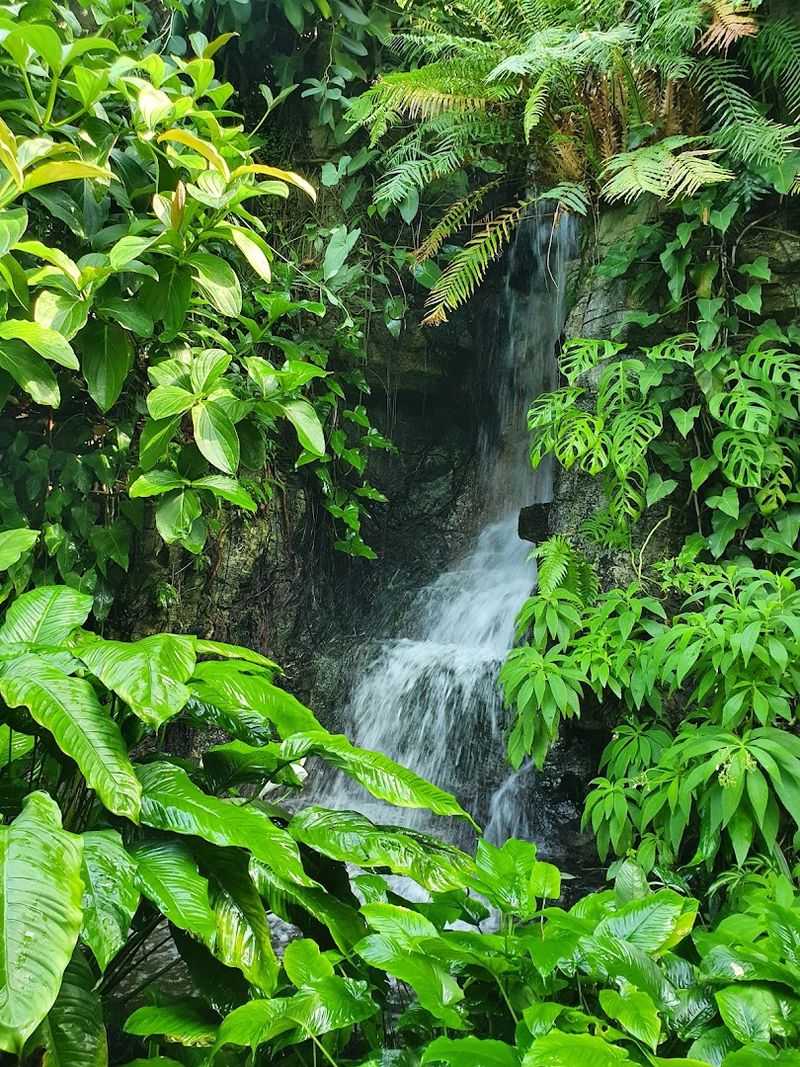 Waterfalls That Bring the Whole Scene to Life