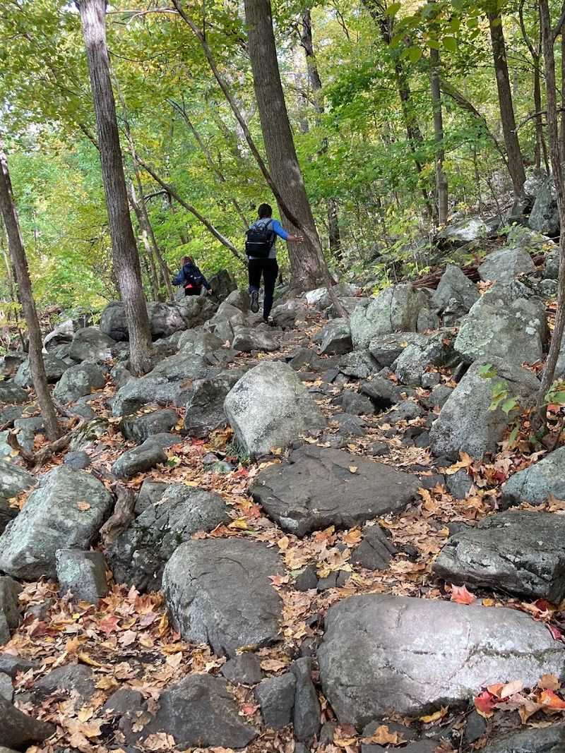 Wawayanda's Stairway to Heaven