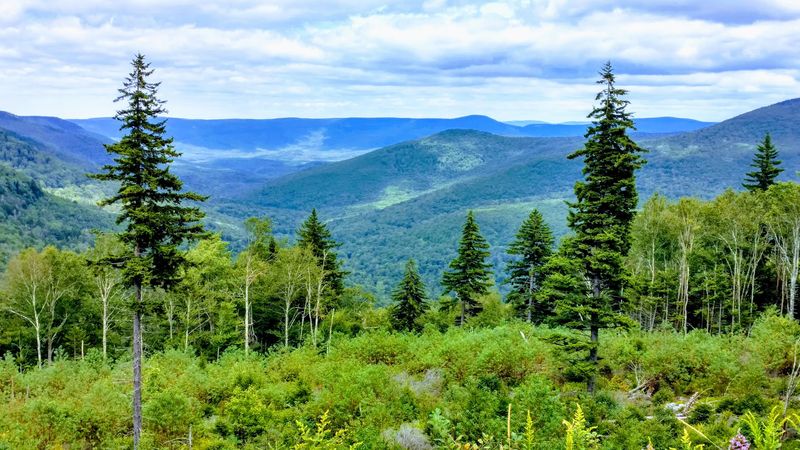 West Virginia's Largest State Park and Why That Scale Actually Matters