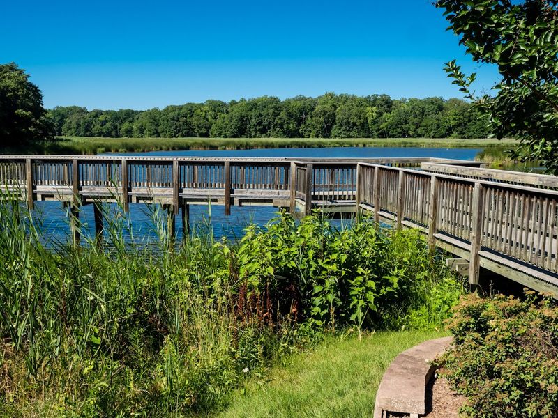 Wetlands Overlook Park, Birdwatching and Nature That Kids Actually Enjoy