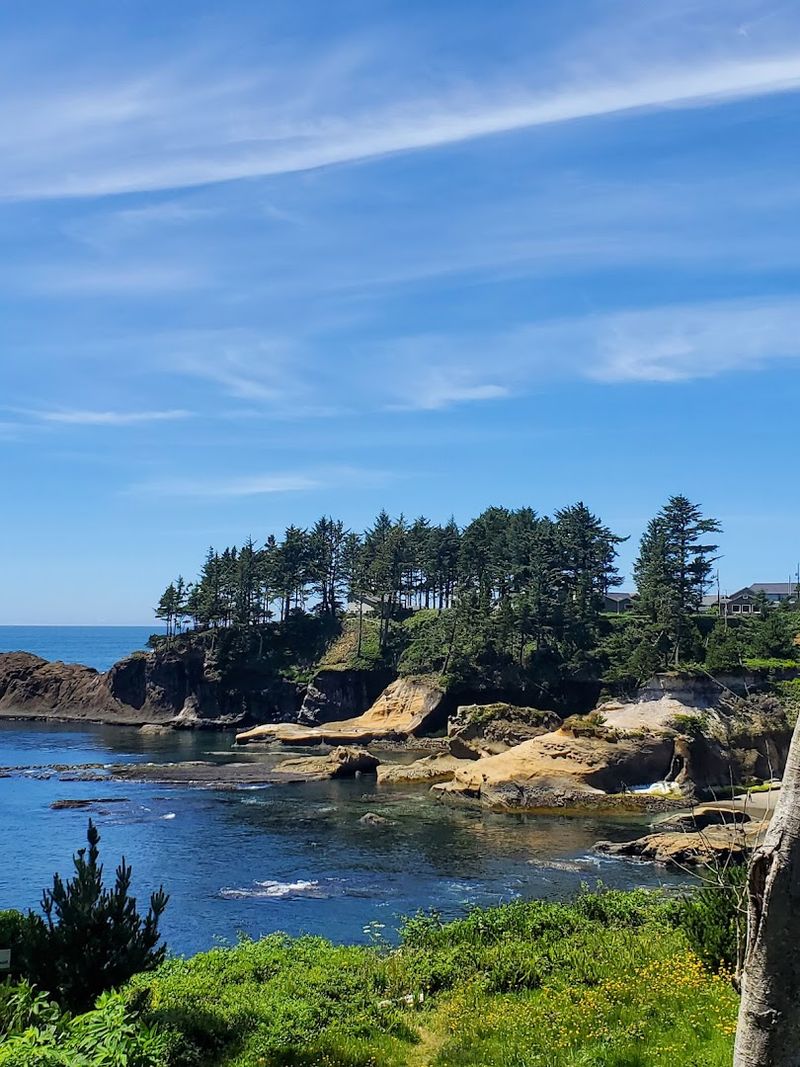 Whale Cove and the Scenic Overlook