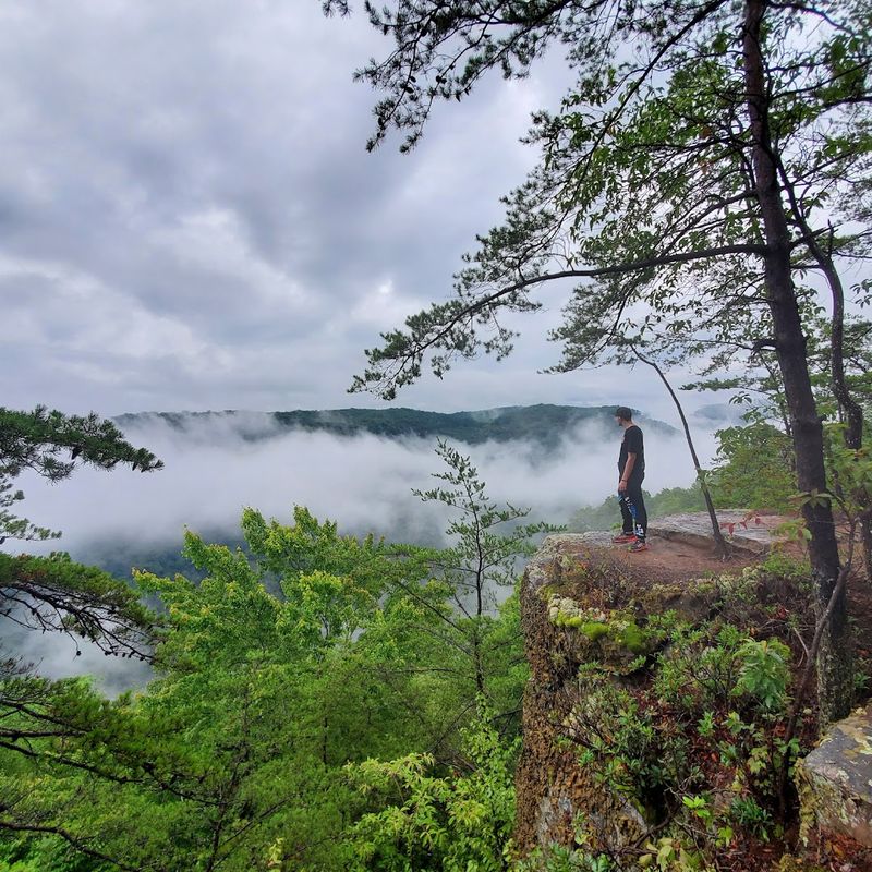 What Makes Long Point Trail So Special