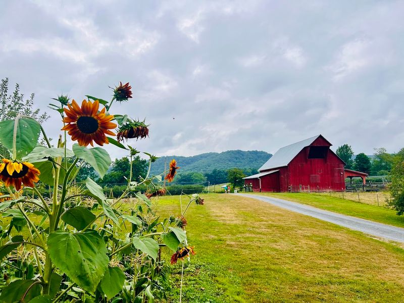 What Makes White Oak Farm So Special What Makes White Oak Farm So Special
