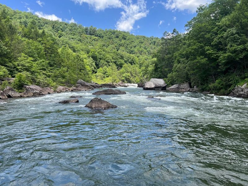 What Makes the Gauley River a Global Legend