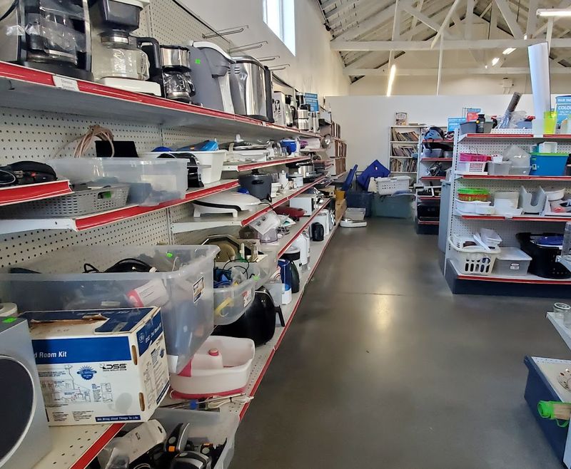 What You Can Find on the Shelves