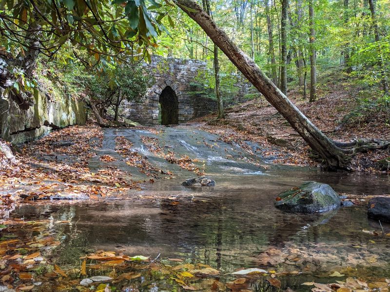 What a Daytime Visit to Poinsett Bridge Actually Feels Like