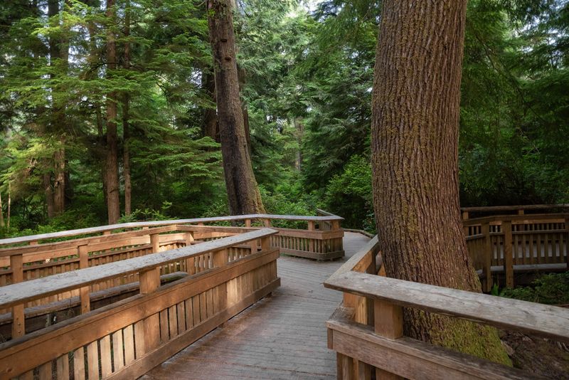 What the Boardwalk Trail Actually Looks Like