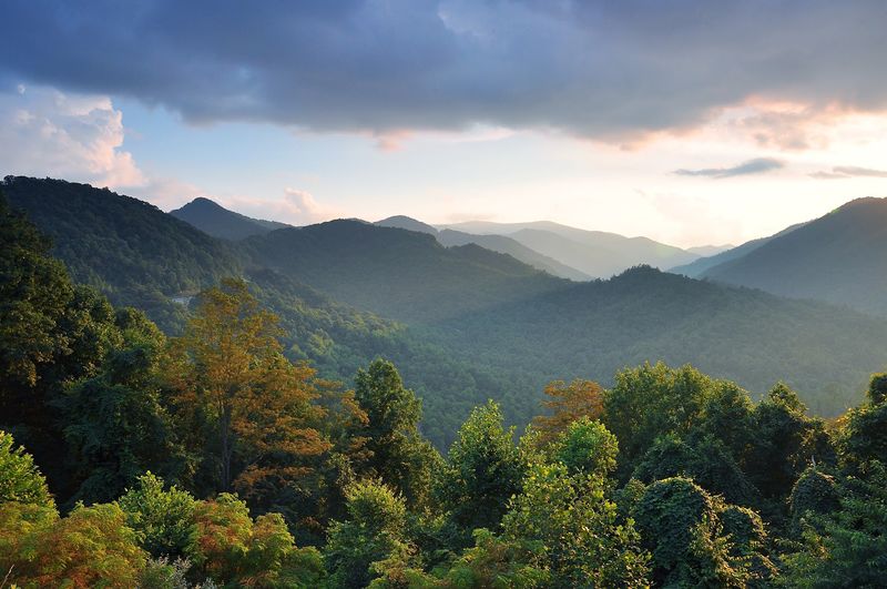 Carbon Storage and the Climate Connection