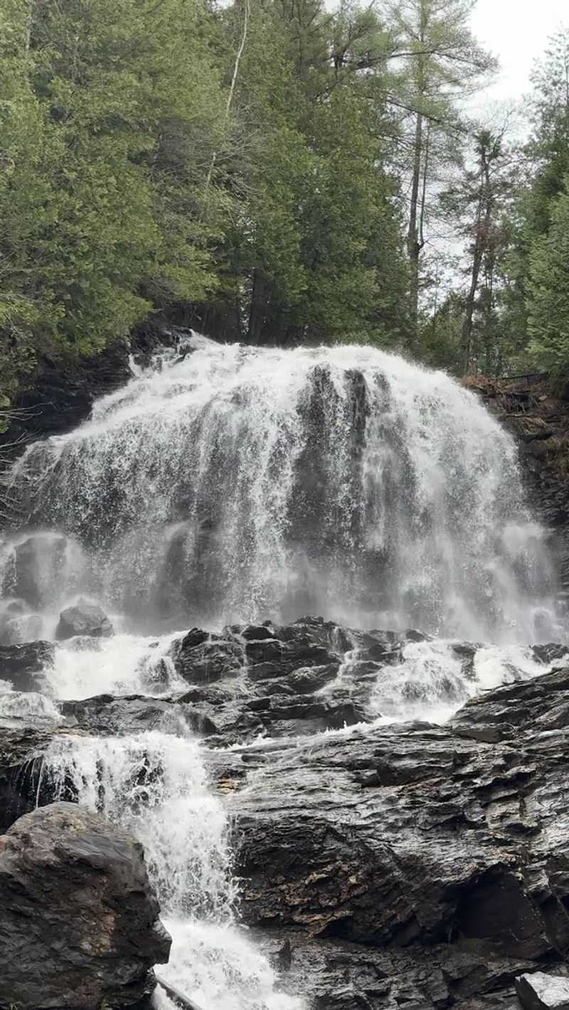 What the Falls Look Like Across Every Season
