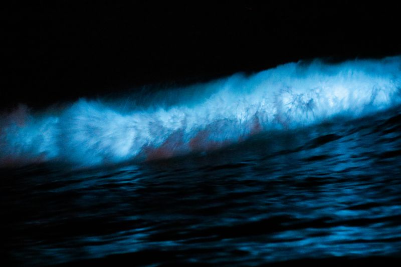 What the Glowing Waves Actually Look Like