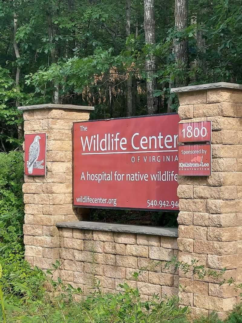 What the Wildlife Center of Virginia Actually Is