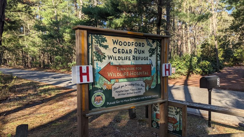What the Wildlife Rehabilitation Hospital Actually Does