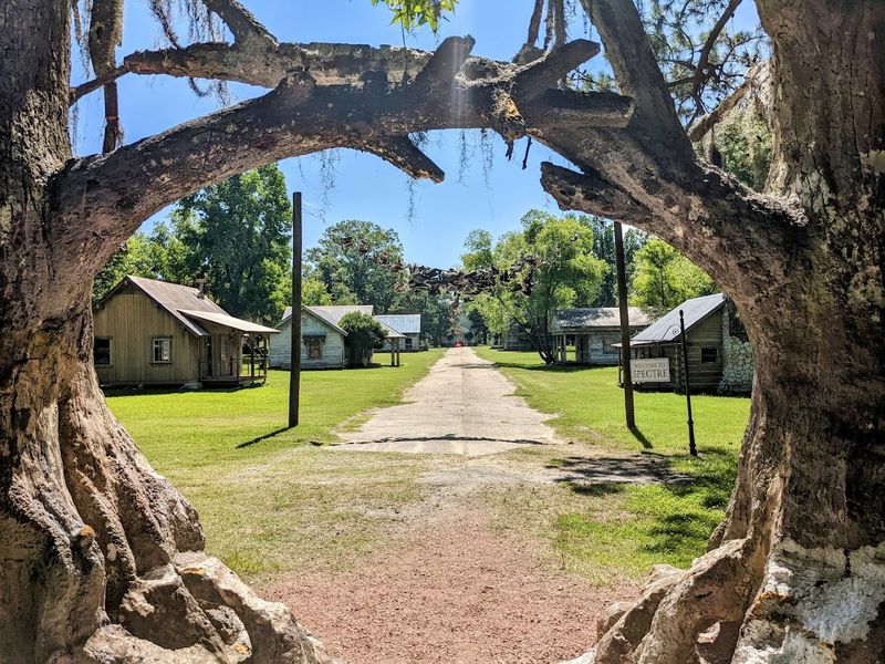 What to Do Nearby Before or After Your Visit