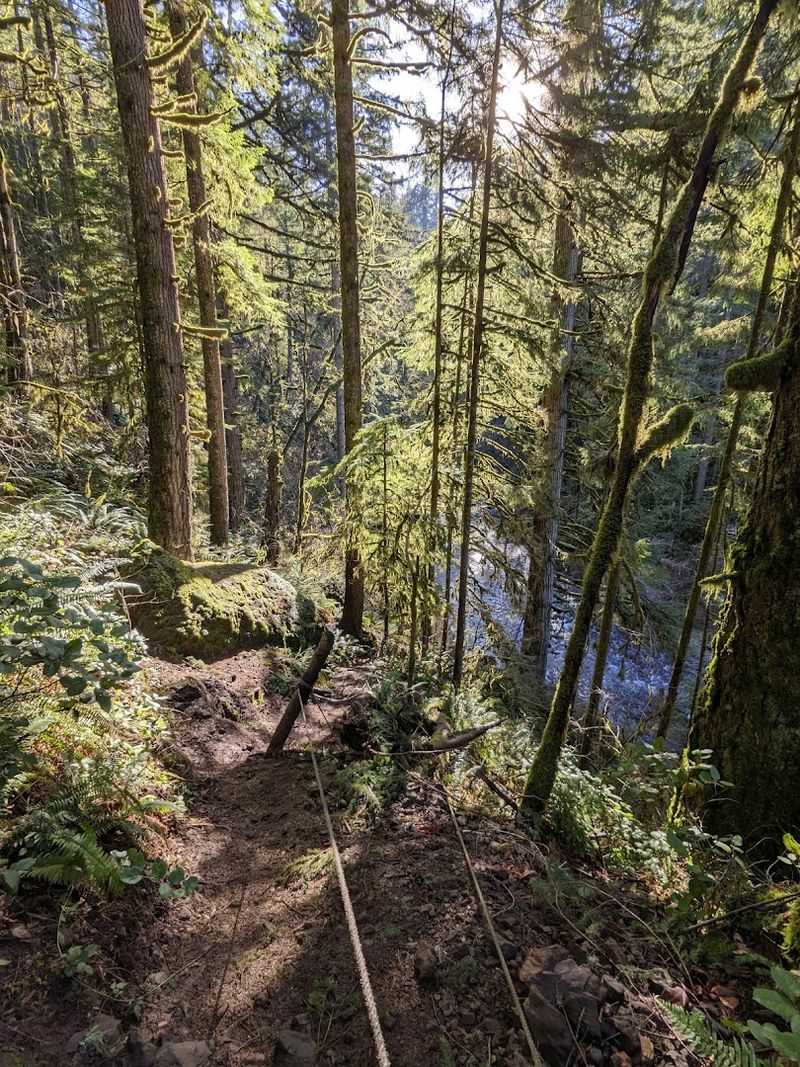 What to Expect on the Trail Itself