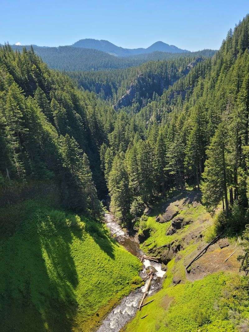 What to Expect on the Trail
