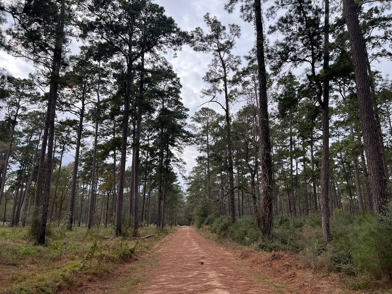 What to Know About Trail Difficulty and Who Can Hike It What to Know About Trail Difficulty and Who Can Hike It