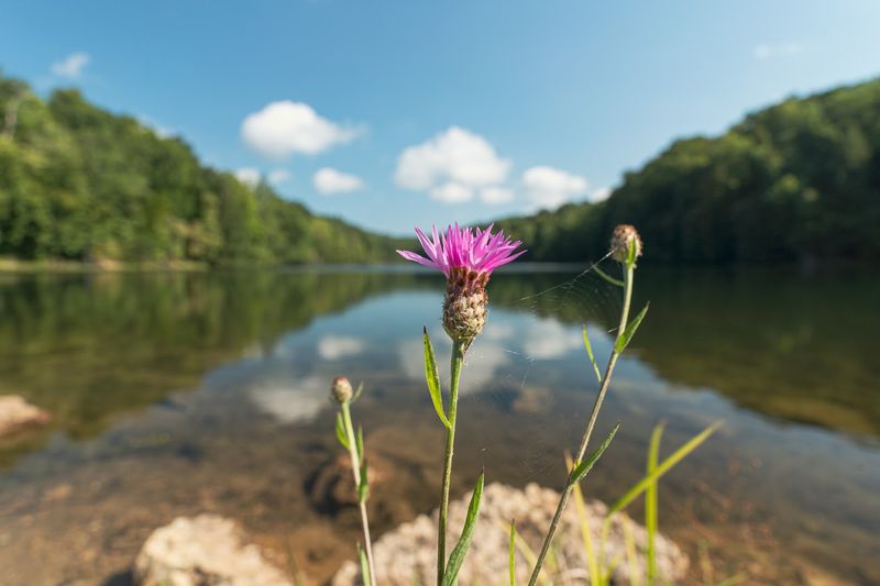 What to Know Before You Make the Hike to Rose Lake