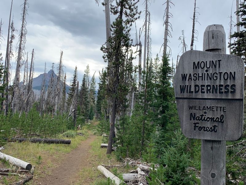 What to Pack for the Adventure