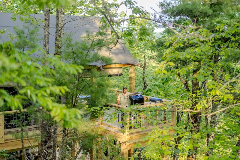 Staying in a Treehouse Above the Forest Floor