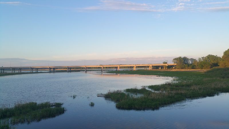 Where The Marsh Starts Talking Back
