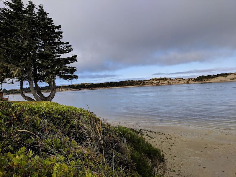 Where The Sand Meets The Surf