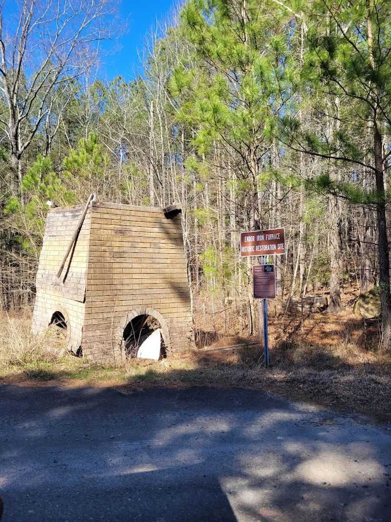 Where The Woods Open Up