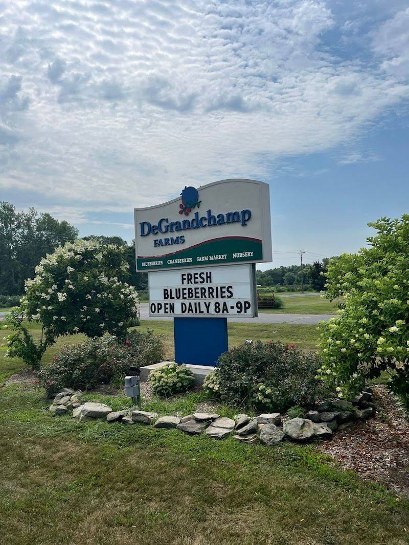 Where You Actually Find It