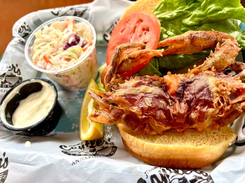 Why Annapolis Locals Keep Coming Back