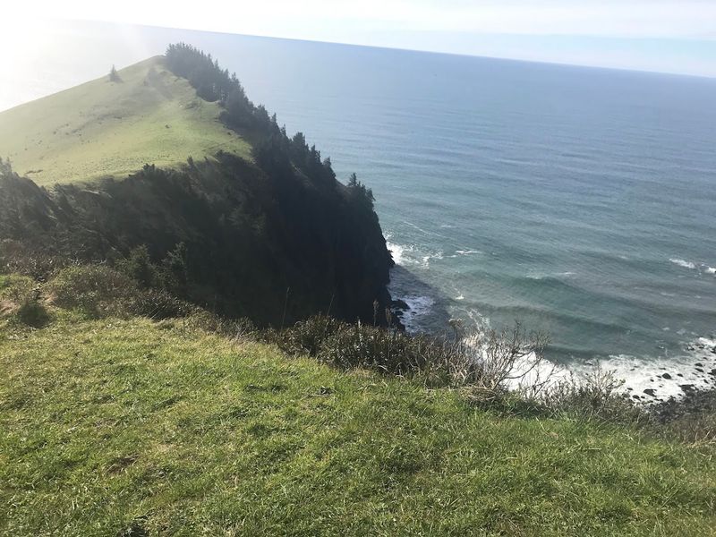 Why Cascade Head Trail Stays With You Long After You Leave