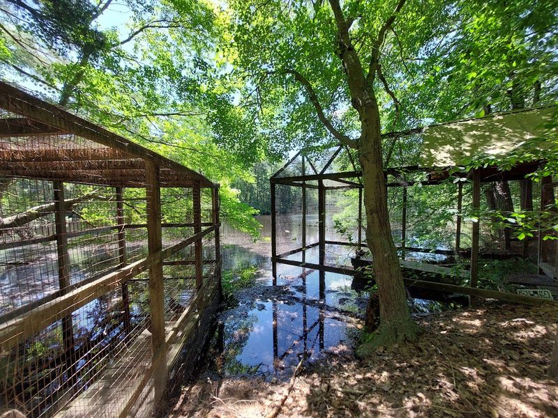 Why Cedar Run Deserves a Spot on Every New Jersey Itinerary