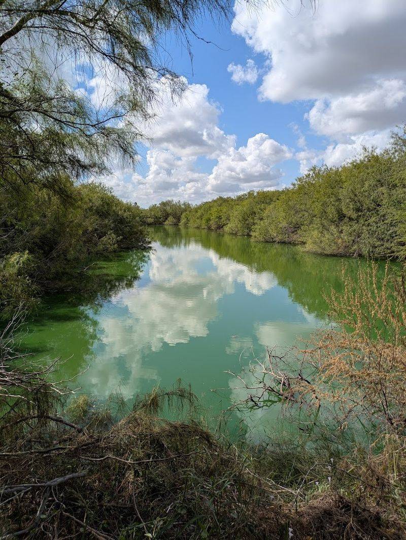 Why Edinburg Scenic Wetlands Belongs on Your Texas Travel List