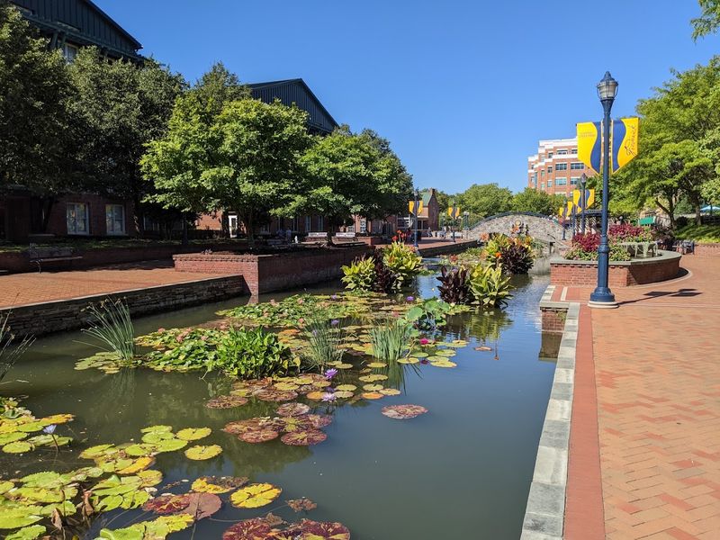 Why Frederick Maryland Is Worth the Trip